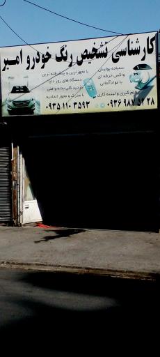 تشخیص رنگ خودرو امیر