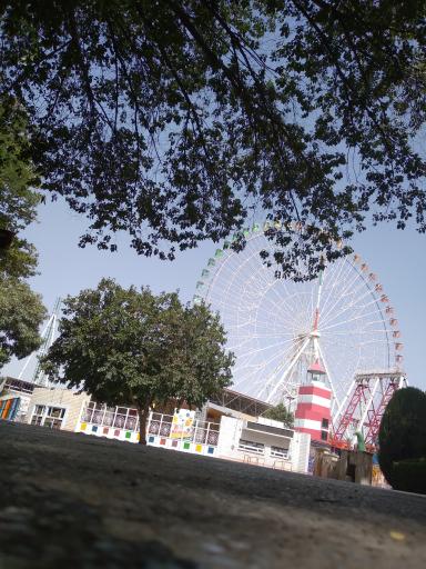 عکس چرخ و فلک پارک ملت