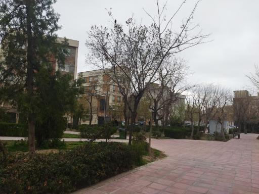 عکس بوستان شهید قدیری