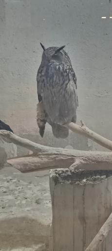 عکس باغ وحش باغلار باغی