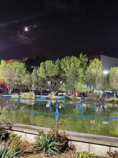 عکس میدان مدرس