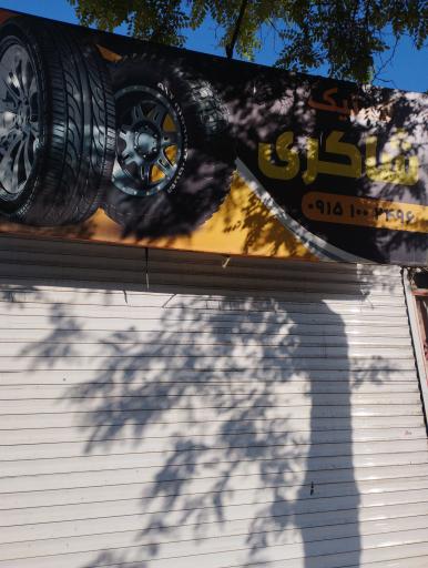 عکس لاستیک شاکری