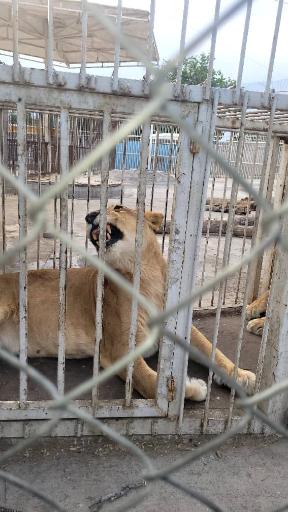 عکس باغ وحش باغلار باغی