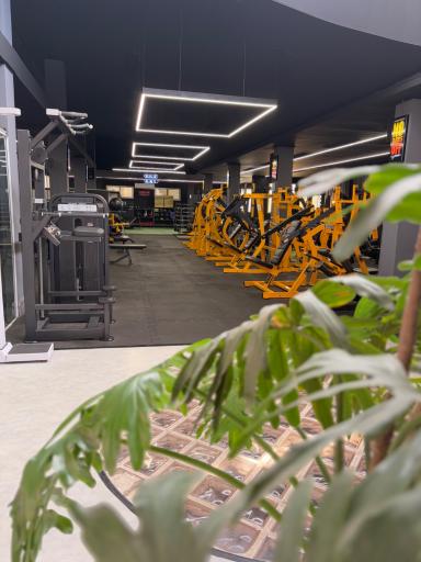 عکس باشگاه بدنسازی خانه تناسب