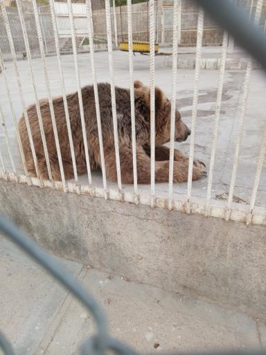 عکس باغ وحش باغلار باغی