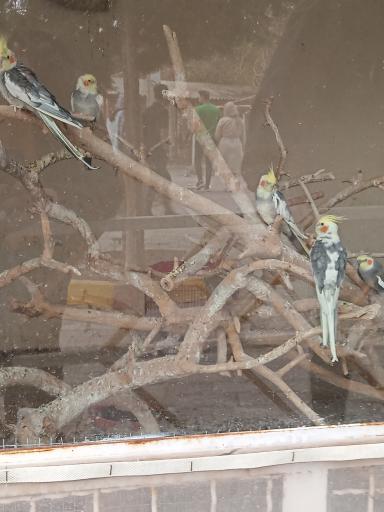 عکس باغ وحش باغلار باغی