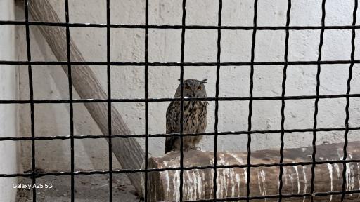 باغ وحش باغلار باغی