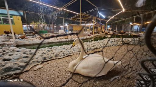 عکس باغ وحش باغلار باغی