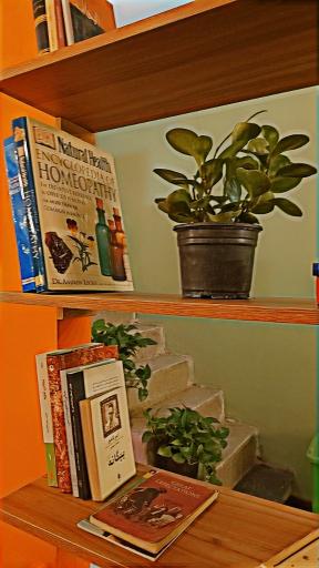 عکس کافه رترو 