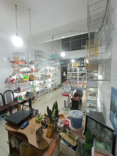 عکس تبریز کاکاتیل 