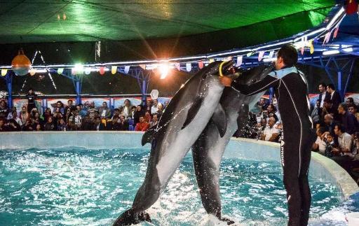 عکس باغ وحش باغلار باغی