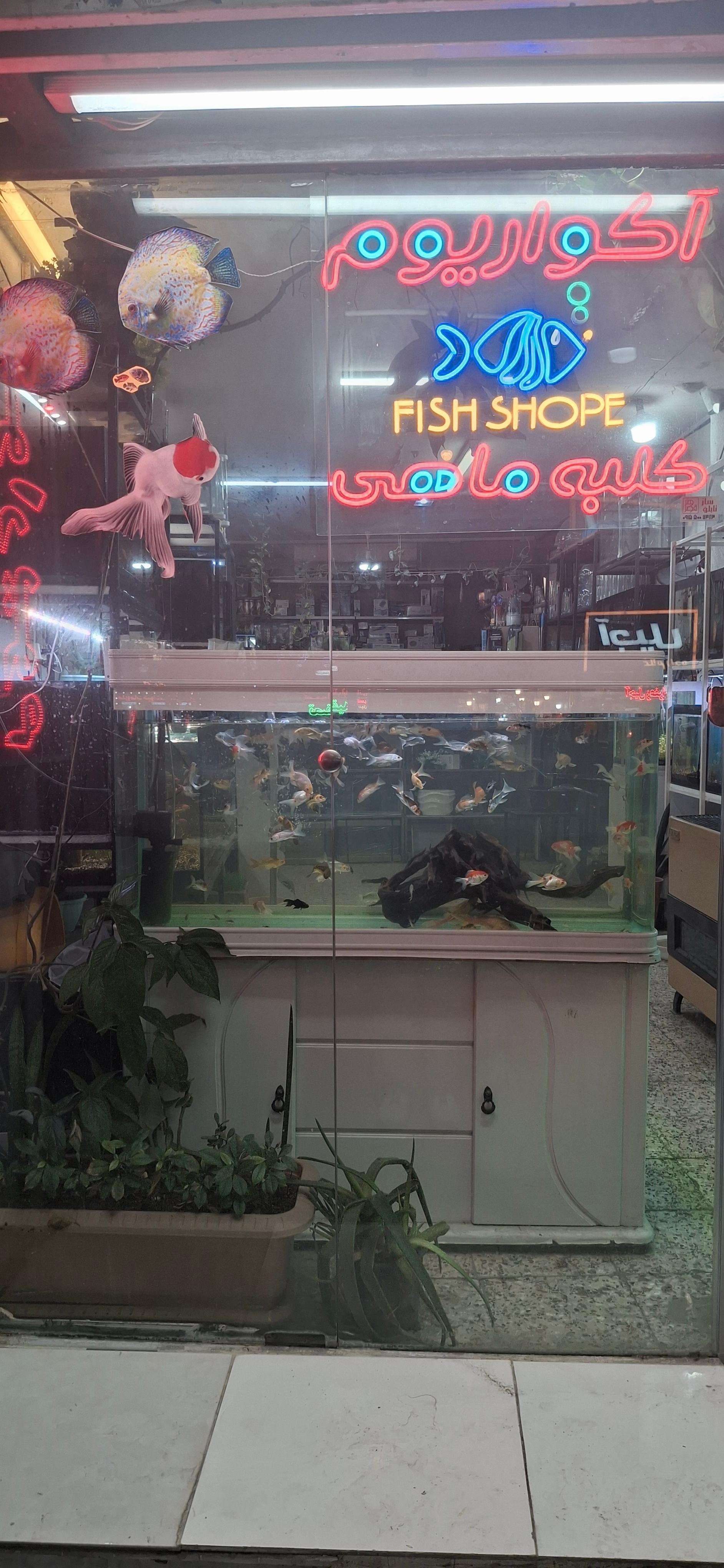 عکس کلبه ماهی 