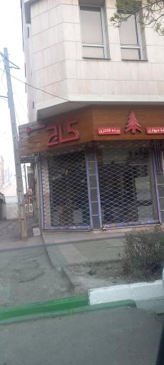 عکس پرده فانتزی کاج سبز