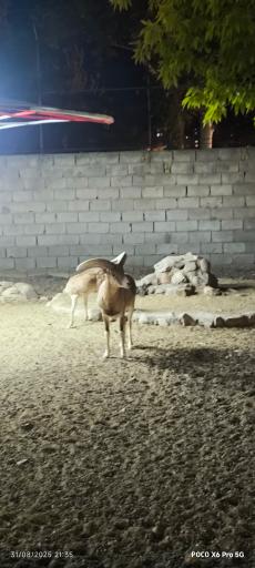عکس باغ وحش باغلار باغی