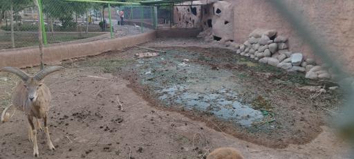 عکس باغ وحش باغلار باغی