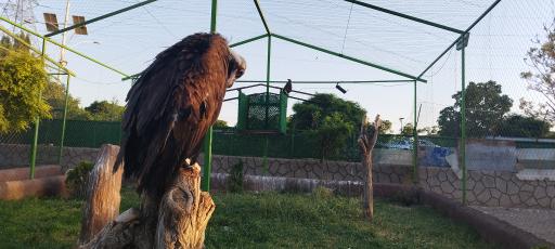 عکس باغ وحش باغلار باغی