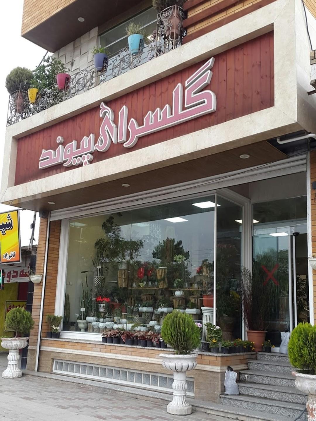 عکس گلسرای پیوند