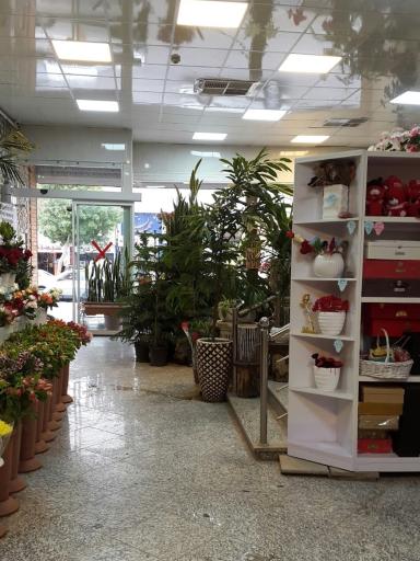 عکس گلسرای پیوند