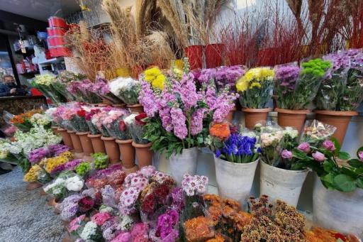 عکس گلسرای پیوند