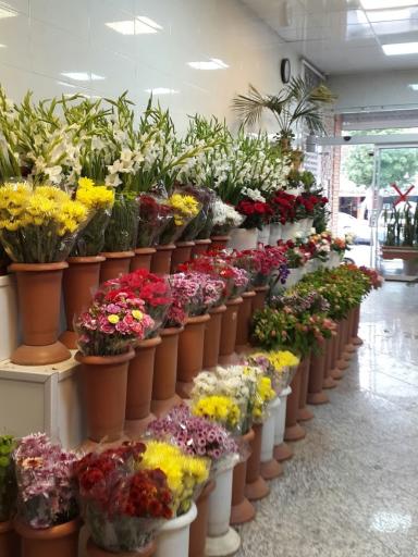 عکس گلسرای پیوند