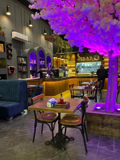 عکس فست فود دیبارو