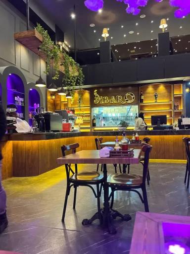 عکس فست فود دیبارو