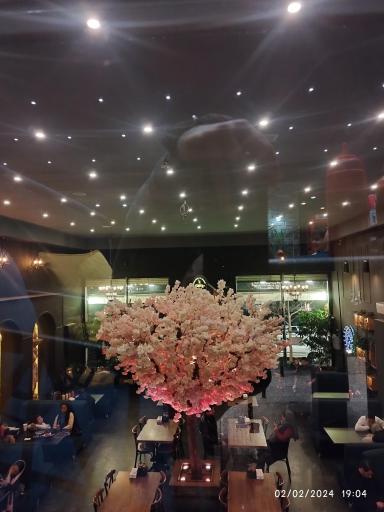 عکس فست فود دیبارو