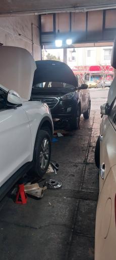 عکس اتو کلینیک سعید