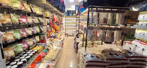 عکس پت شاپ ستاره