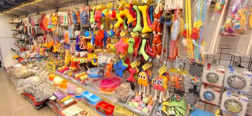 عکس پت شاپ ستاره