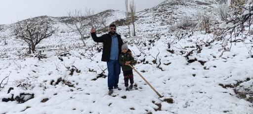 عکس شورگشت