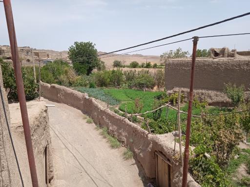 عکس شورگشت