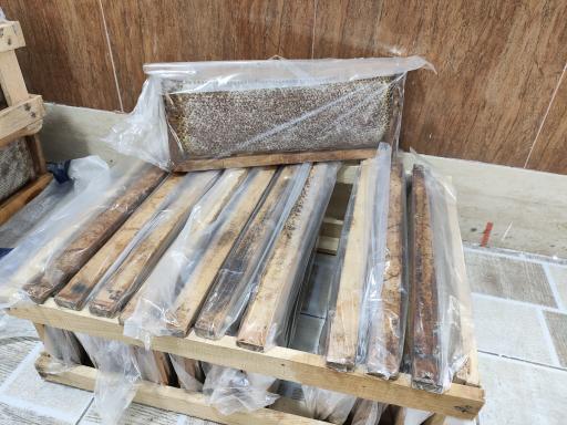 عکس پروتئین ممتاز 