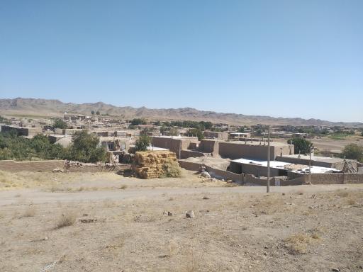 عکس شورگشت
