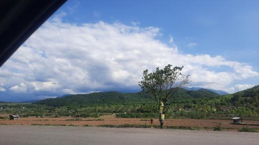 عکس رشت