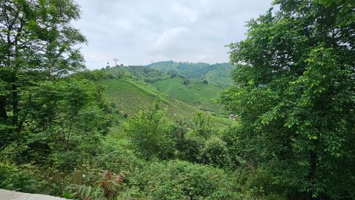 عکس رشت