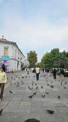 عکس رشت