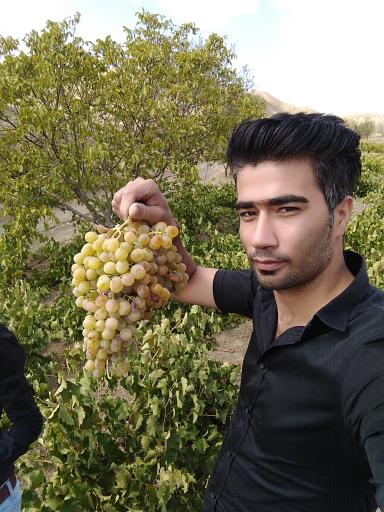 عکس شورگشت