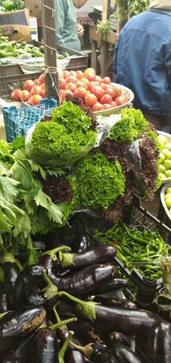 عکس بازار ماهی فروشان