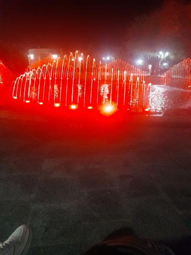 عکس بوستان ارغوان