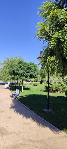 عکس بوستان ارغوان