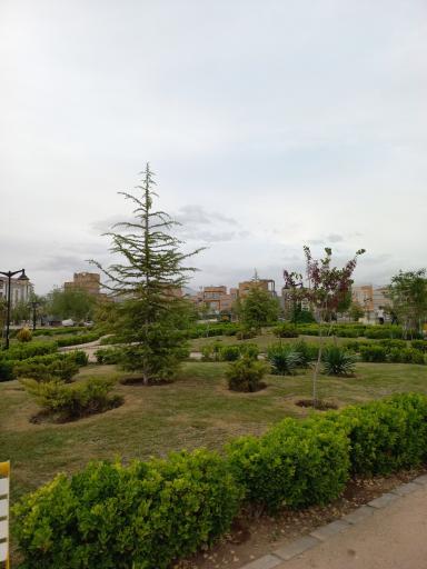 عکس بوستان ارغوان