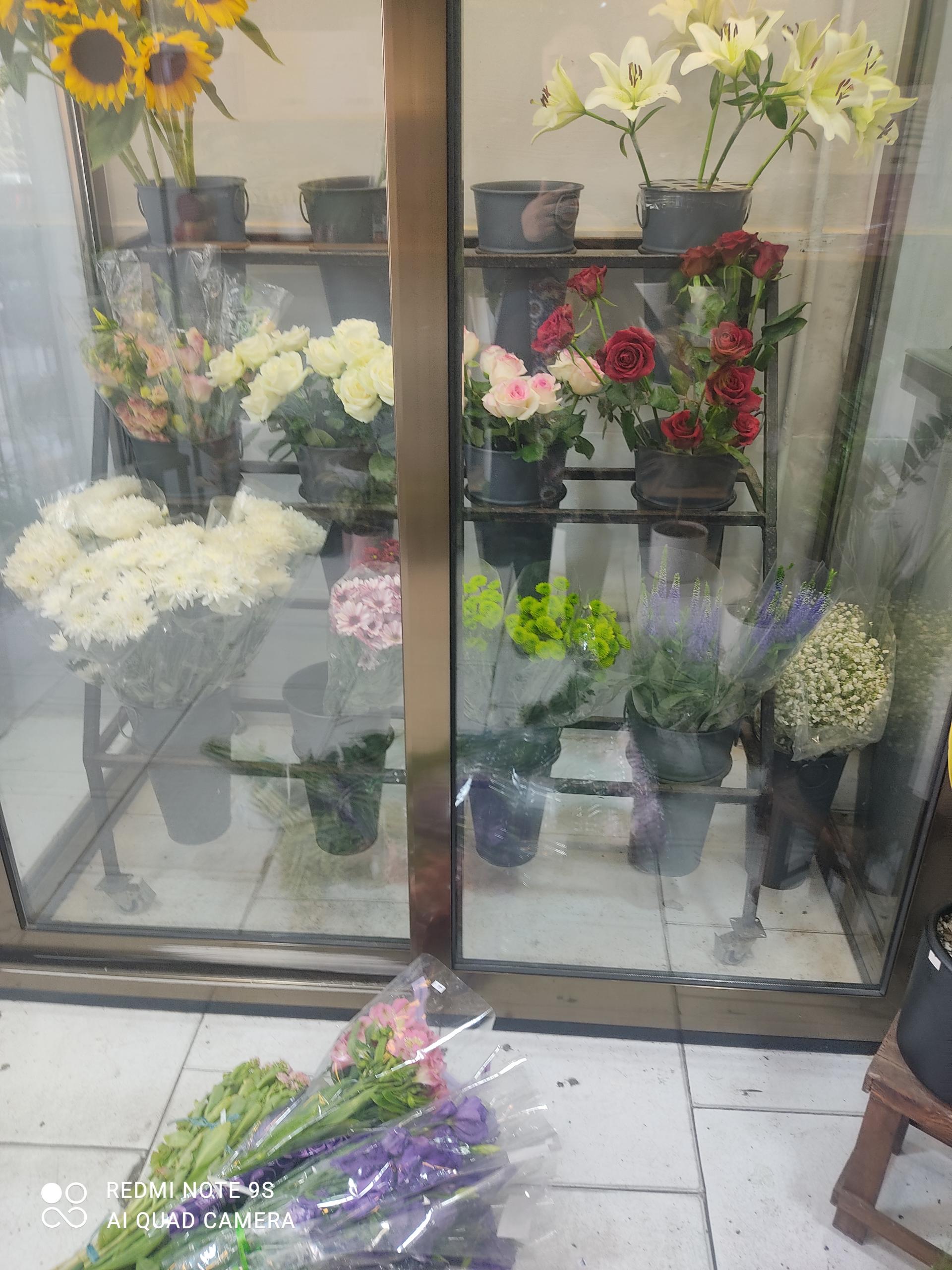 عکس گل فروشی نیکا