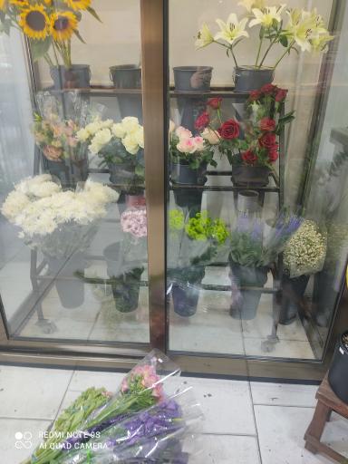 عکس گل فروشی نیکا