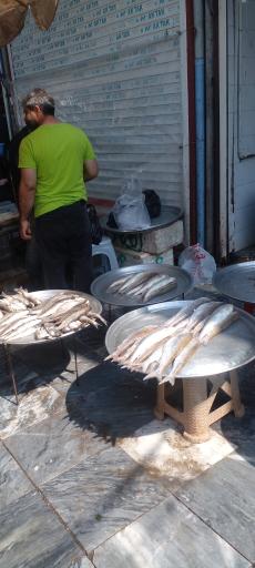 عکس بازار ماهی فروشان