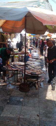عکس بازار ماهی فروشان