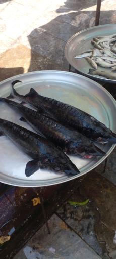 عکس بازار ماهی فروشان