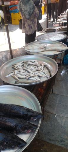عکس بازار ماهی فروشان