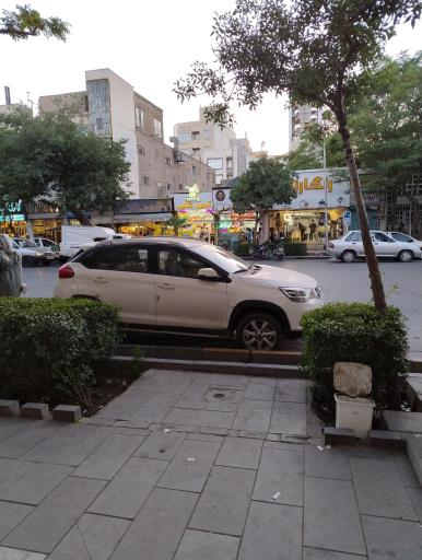 عکس  آموزش و پرورش