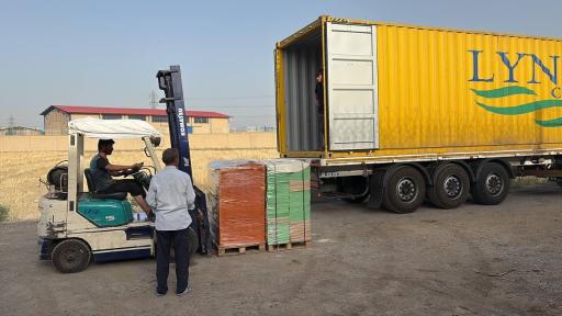 عکس رول شیت ثامن